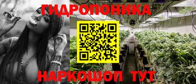 дмт Боровичи